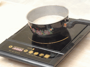 Single Burner - Induction Cooker or Open Microwave Oven